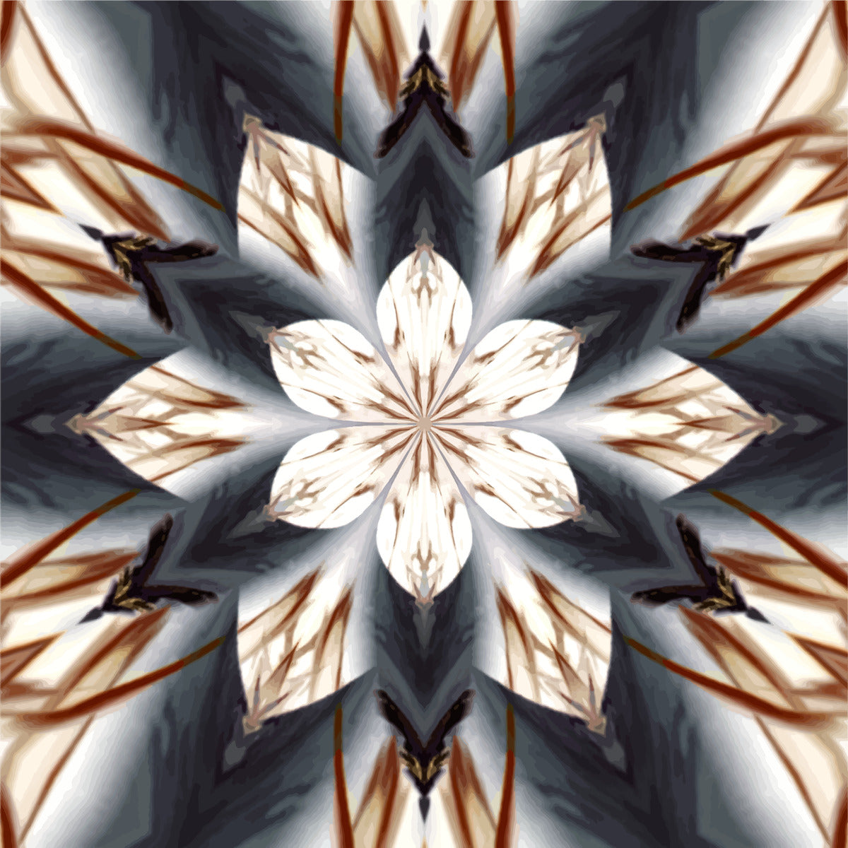 Spear Tipped Feather Petal Lotus - Fine Wall Art Print