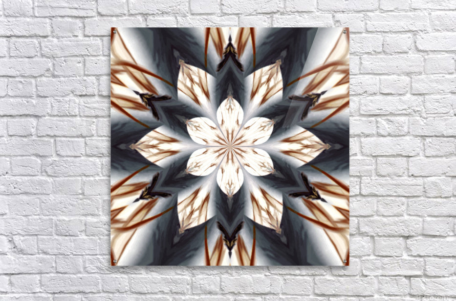Spear Tipped Feather Petal Lotus - Fine Wall Art Print