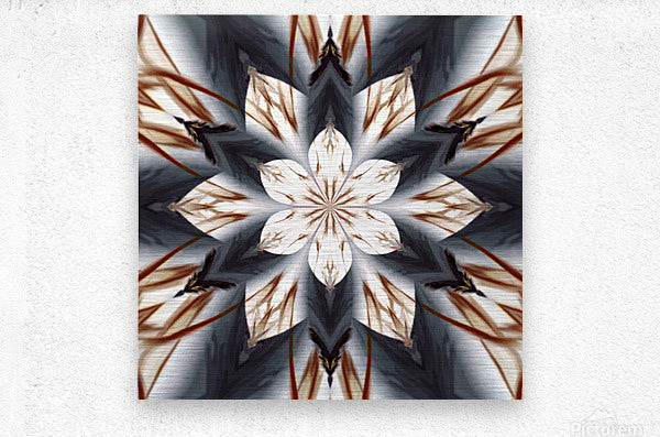Spear Tipped Feather Petal Lotus - Fine Wall Art Print