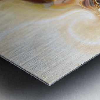 2098590 :: Brushed Metal Print