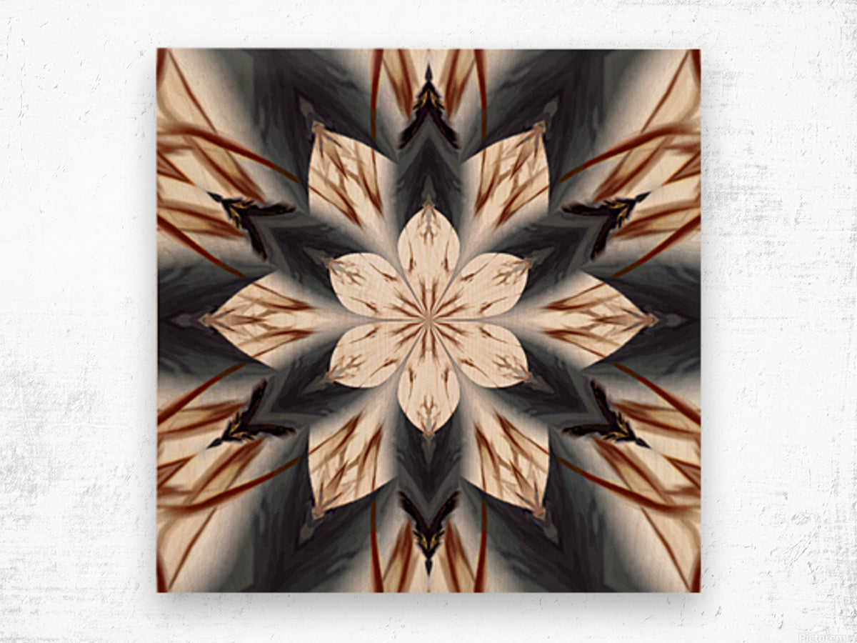 Spear Tipped Feather Petal Lotus - Fine Wall Art Print